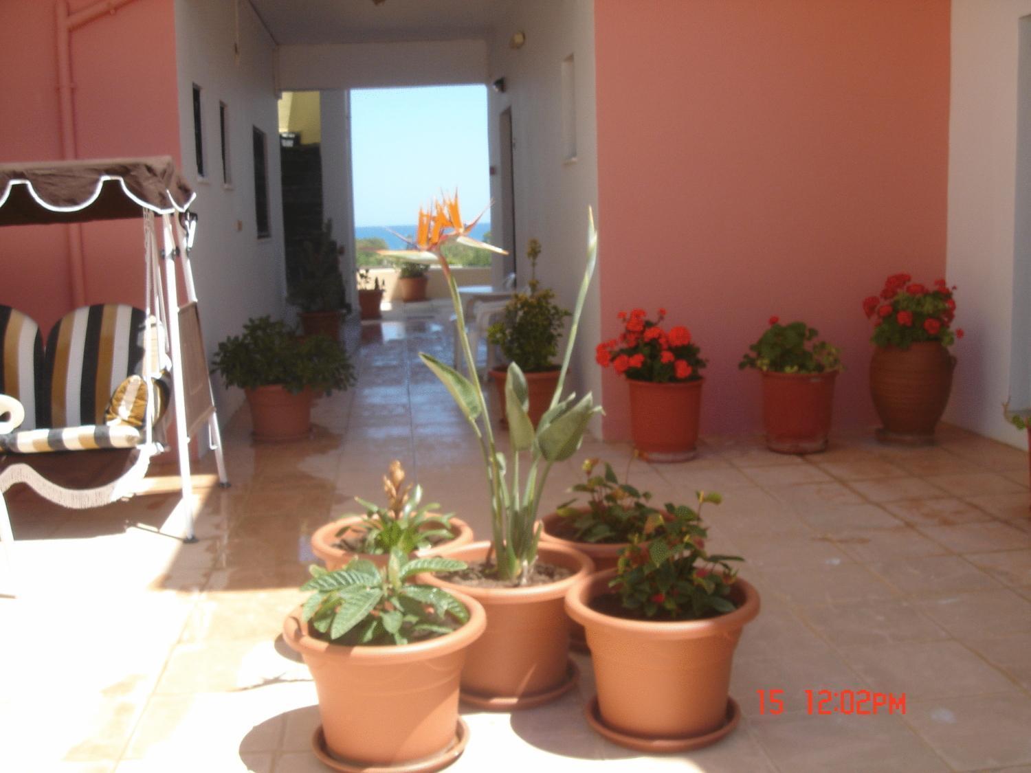 Iliaktida Apartments Rapanianá المظهر الخارجي الصورة