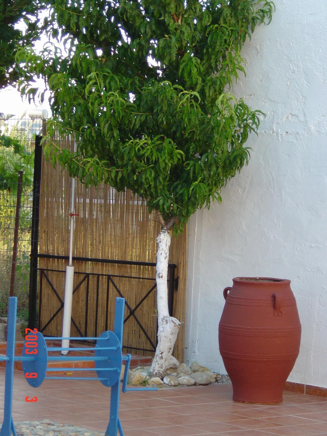 Iliaktida Apartments Rapanianá المظهر الخارجي الصورة
