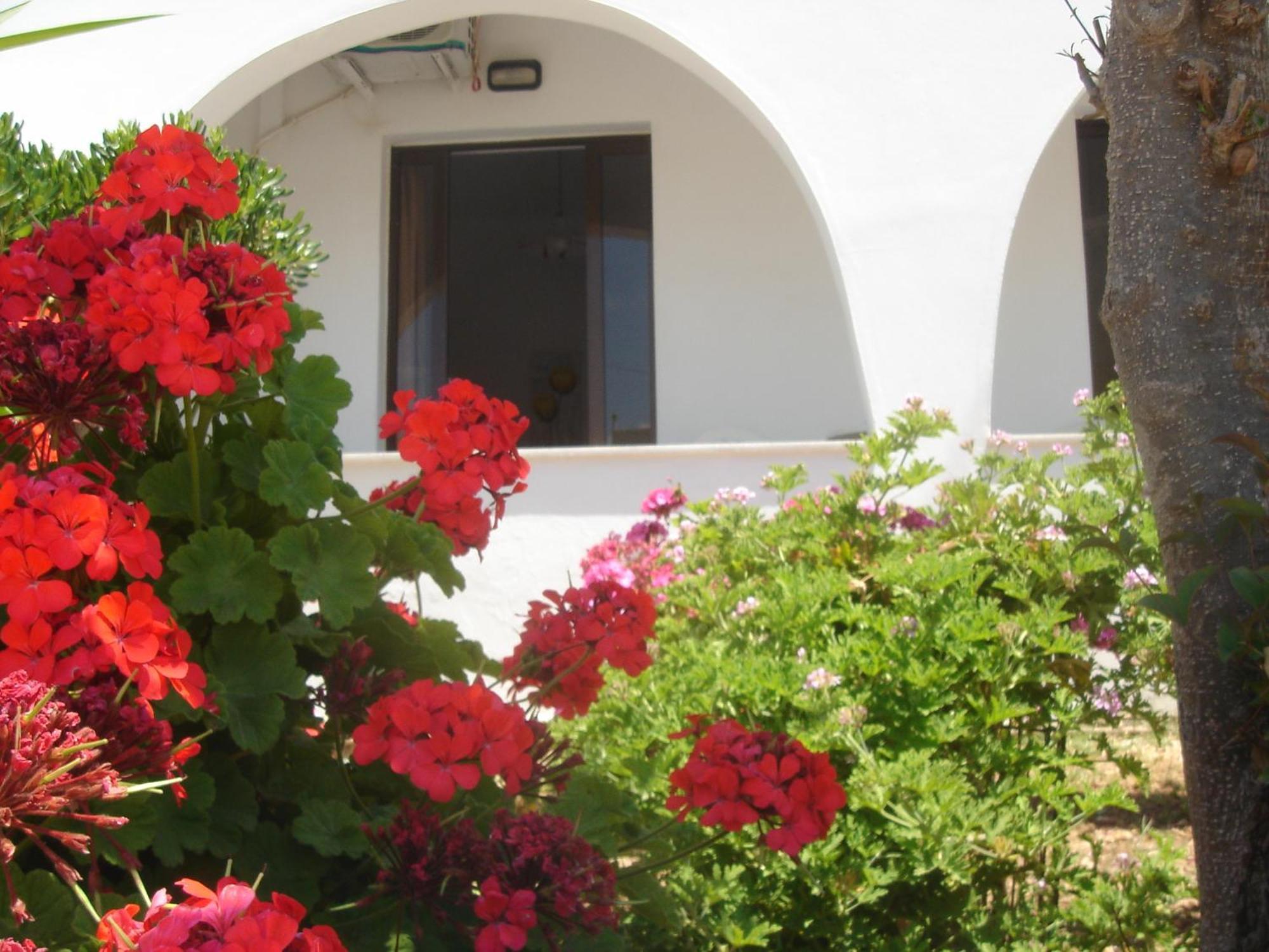 Iliaktida Apartments Rapanianá المظهر الخارجي الصورة